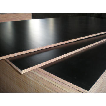 Black Film Face Plywood with Brand Name